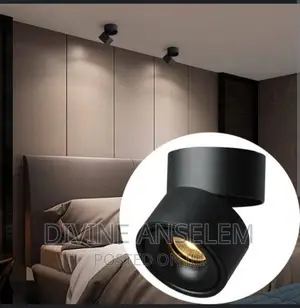 Ceiling Spot Light