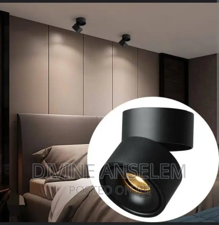 Ceiling Spot Light