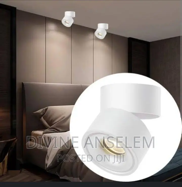 Ceiling Spot Light