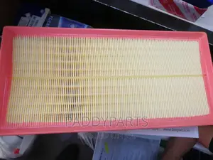 Range Rover Vogue Air Filter