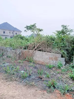 A Full Plot of Land Is for Sale at Ayetoro, Sagamu.