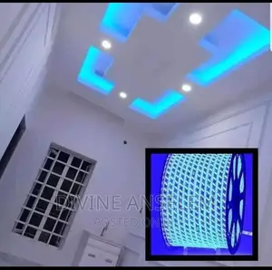 Blue Colour Rope Light