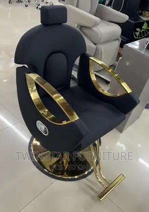 New Modern Luxury Saloon Chair