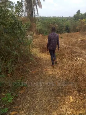 500 Acres of Land for Sale at Cheaper Price in Ibadan
