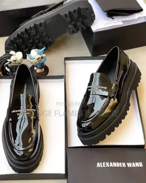 Alexander Wang Luxury Corporate Shoe