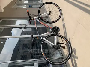 Aster Bicycle