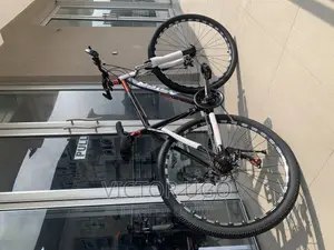 Adult Bicycle