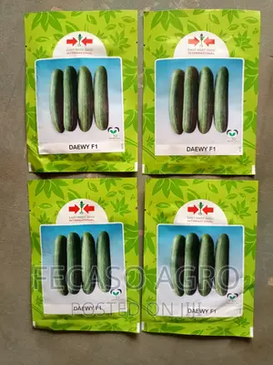 Daewy F1- Cucumber (500 Seeds)