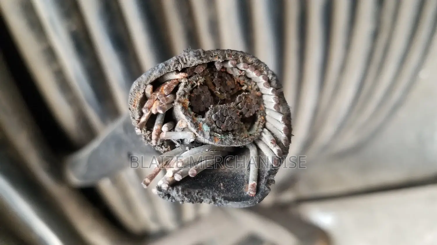 16mm Armored Cable 4 Core