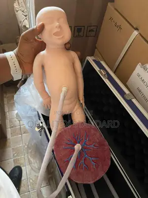Delivery Baby and Placenta