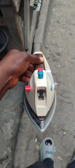 Rowenta Steam Iron for Fashion, Laundry and Home Use