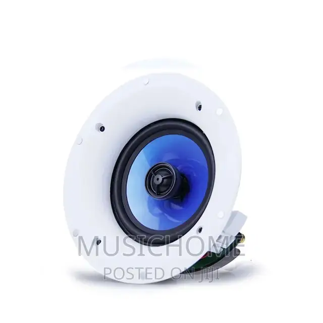 100W Latest Ceiling Speaker