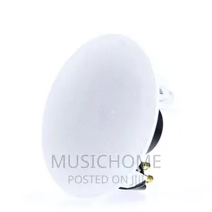 100W Latest Ceiling Speaker