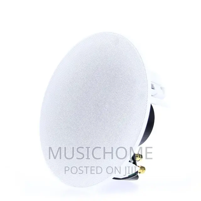 100W Latest Ceiling Speaker