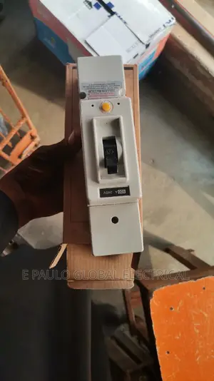 100amps Breaker ELCB SPN