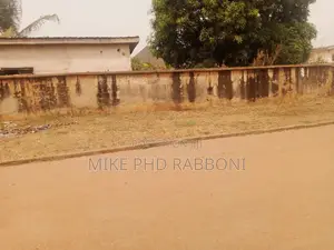 A Carve Out of 1000 SQM in G.R.A With General Cofo for 110m