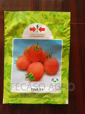 Diva F1- 5g
