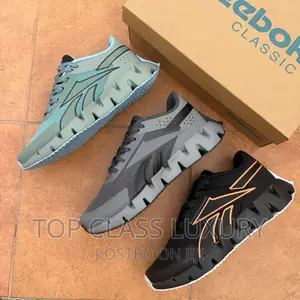 Original Reebok Zig Dynamica 2.0 Adventure