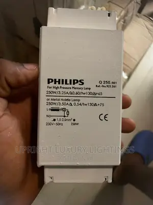 250w/2 Ballast for Street Lamp
