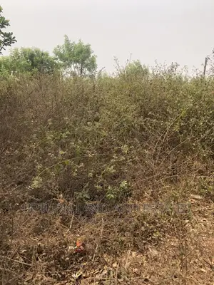 500 Acres of Land for Sale at Onigaari Ibadan at Cheaper
