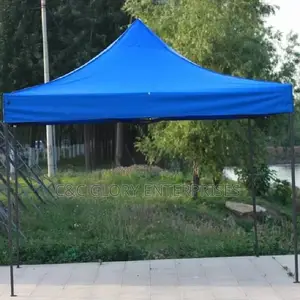 Foldable Canopy 10feet by 10feet (Black Pole)