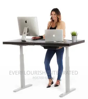 Electric Adjustable Height Standing Desk/Table