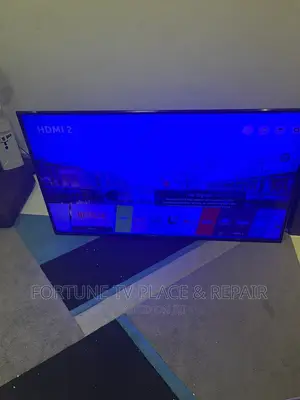Blue and Blnac Screen Repairs
