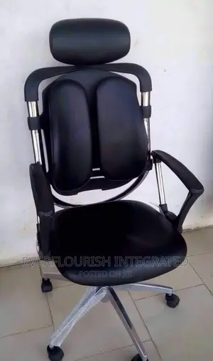 Kidney/Ergonomic Office Chair