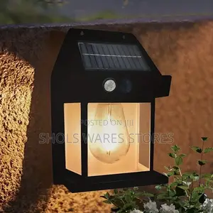Solar Induction Lamp