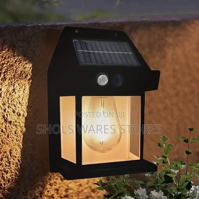 Solar Induction Lamp