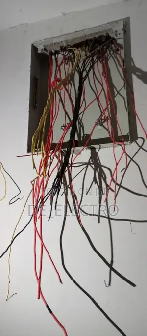 Electrician and Automatic Changeover System