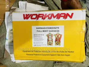 Workman Safety Belt