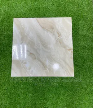 Photo - 60 X 60 Quality Glossy Design Tile