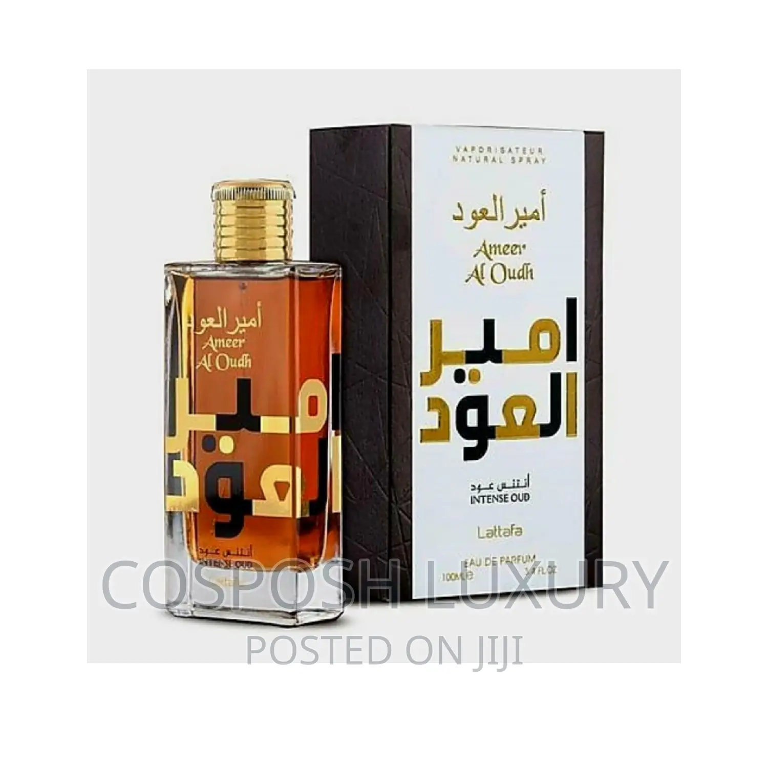 Ameer Al Oudh Intense