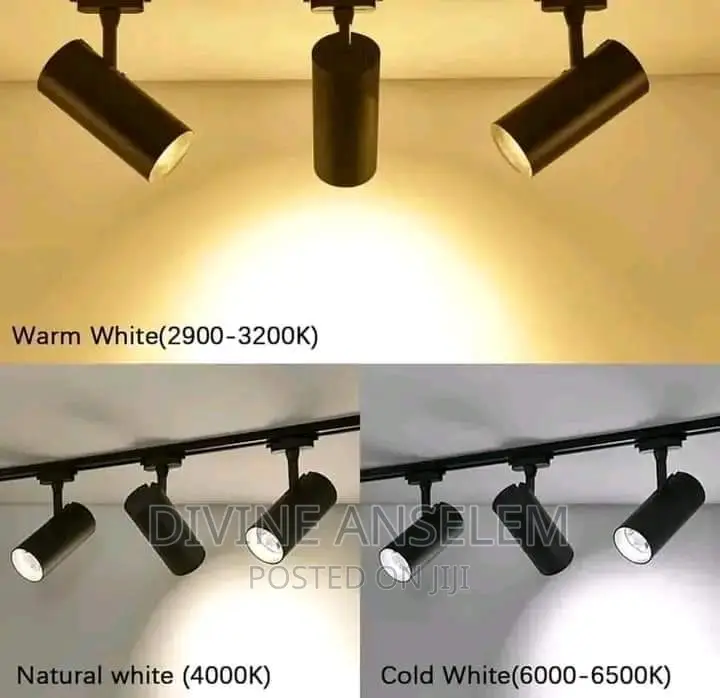 30watts Track Light