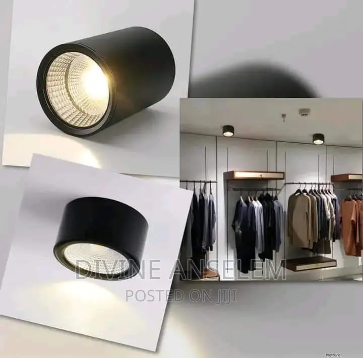 Luxury Down Light