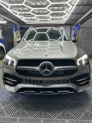 New Mercedes-Benz GLE-Class 2022 Gray
