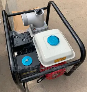 3" 100% Original Parsun Water Pumping Machine