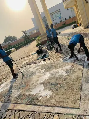 Carpet Laundry
