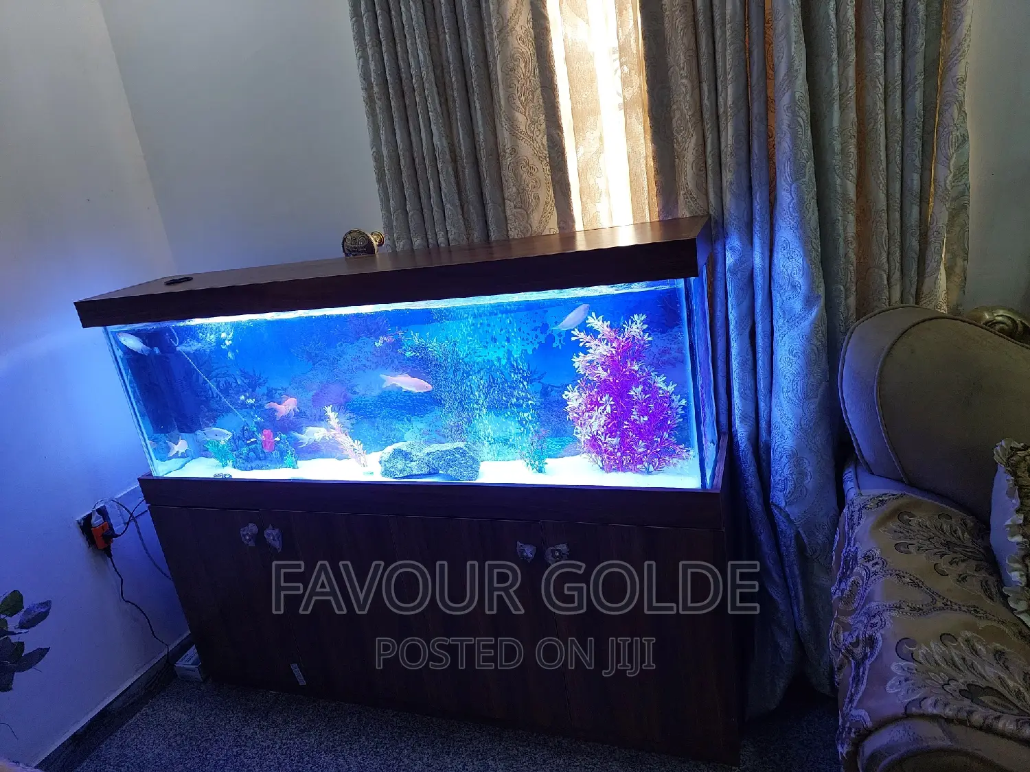 Fish Ponds