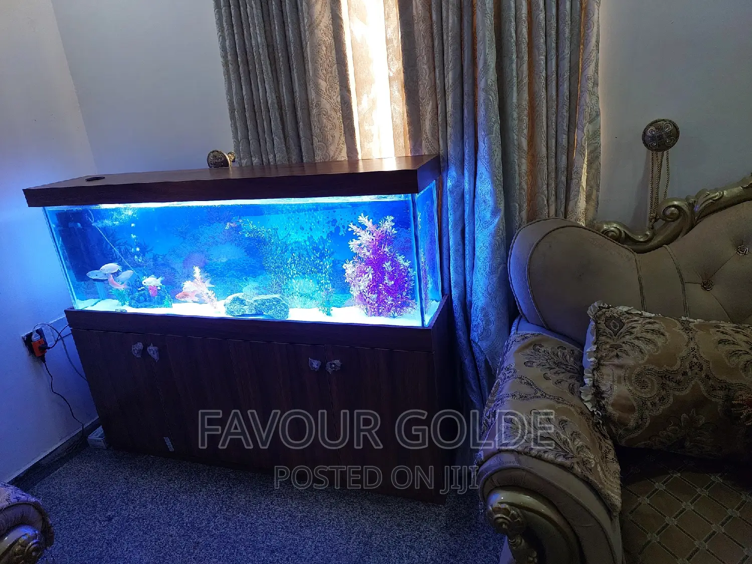 Fish Ponds