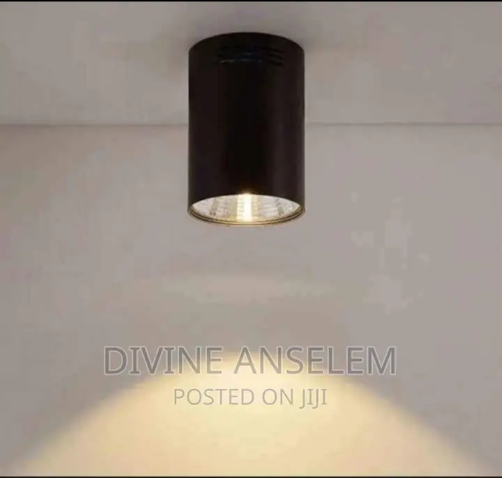 Luxury LED Down Light