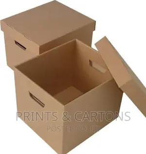Cartons for Food Products