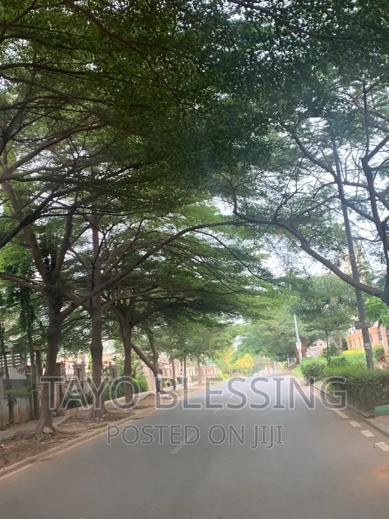 Studio Apartment in a Serene Environment at Apo Legislative