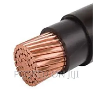 300mmx1core PVC/PVC High Quality Electrical Cables Copper