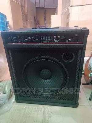 Gipson Bass Combo BS 2500