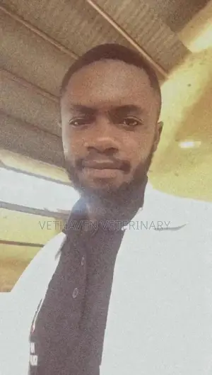 Veterinary Doctor