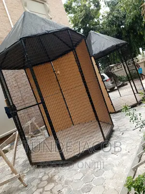 Birds House
