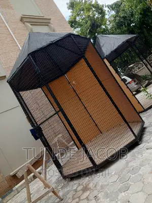 Birds House