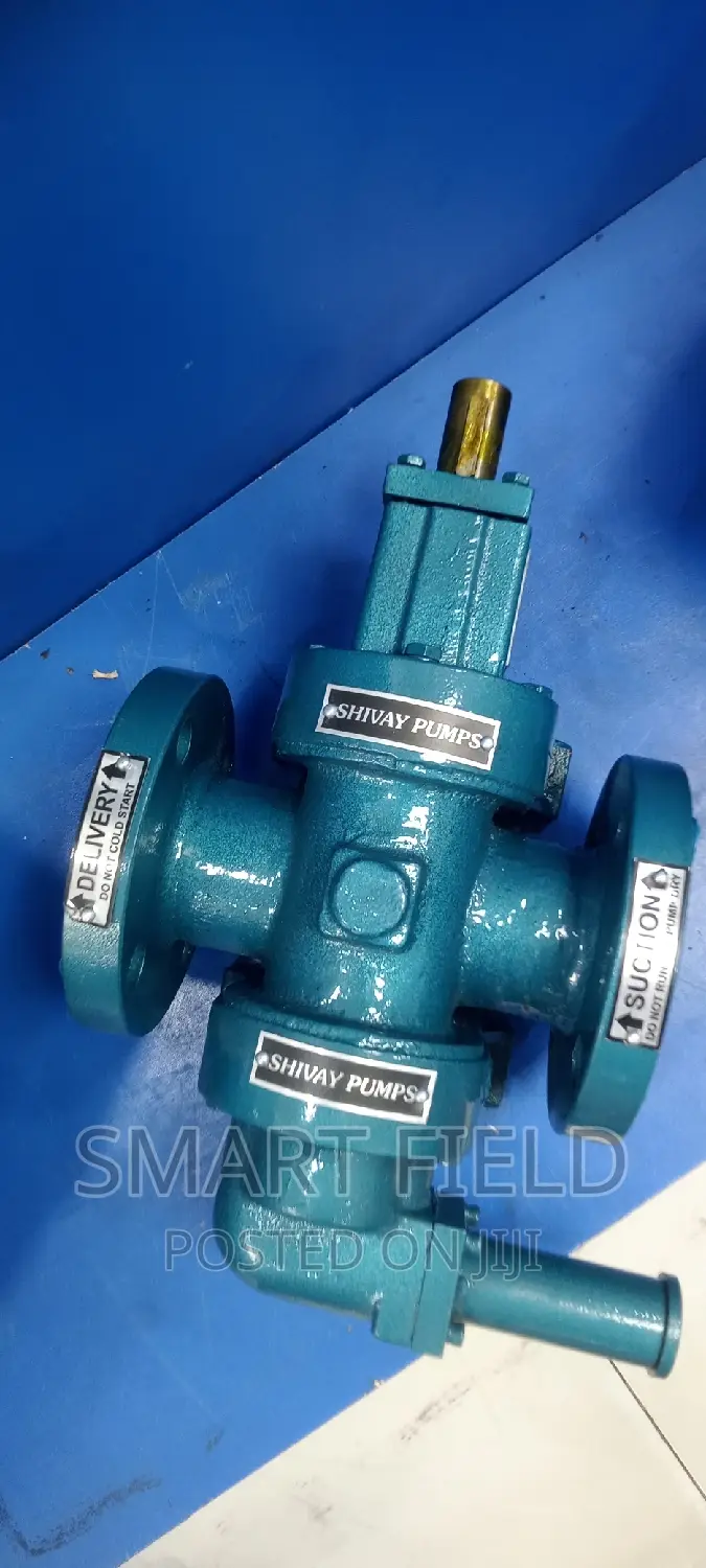 Cast Gear Transfer Pump 2" by 2"Inches